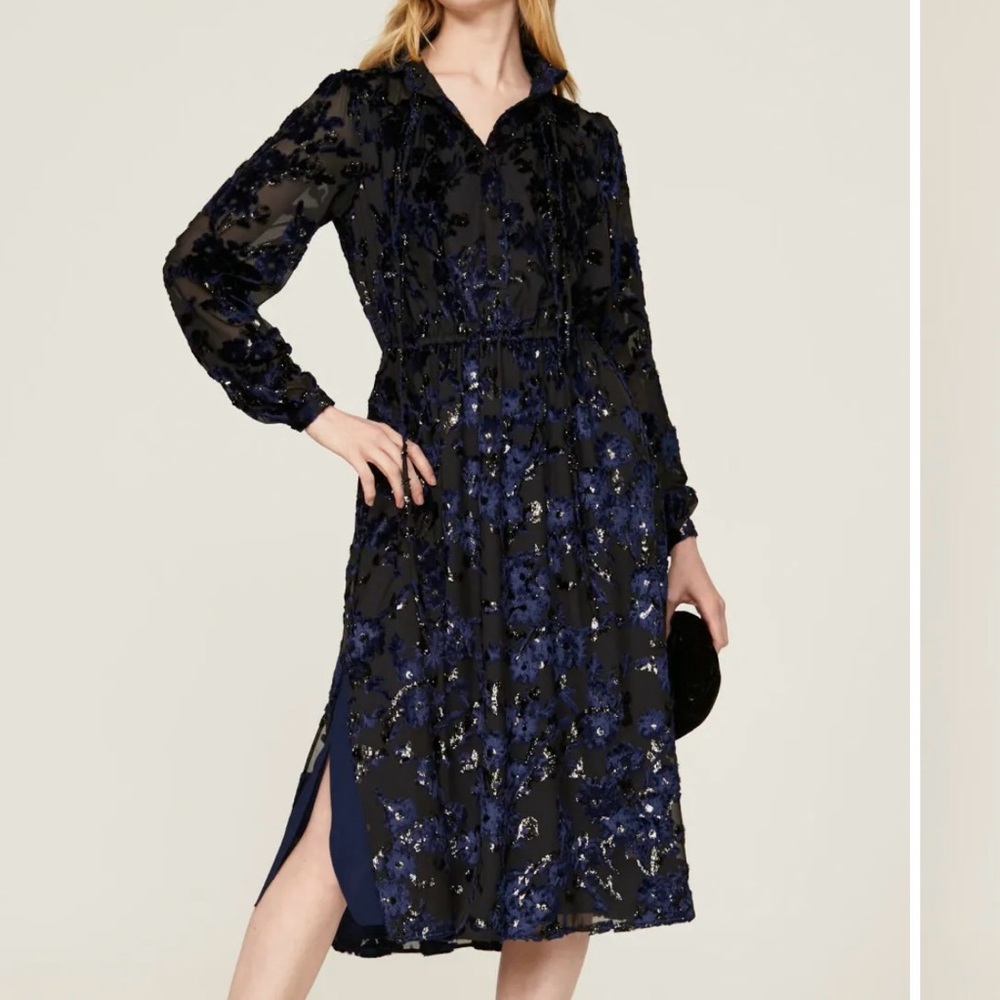 Adam Lippes Embroidered Midi Dress Floral Velvet Burnout Whimsigoth Size‎ 4